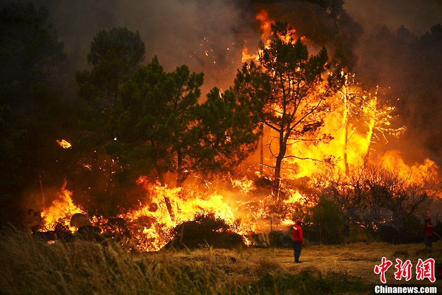 乐动体育官方网站-包含葡萄牙战平德国，居首困境愈演愈烈的词条